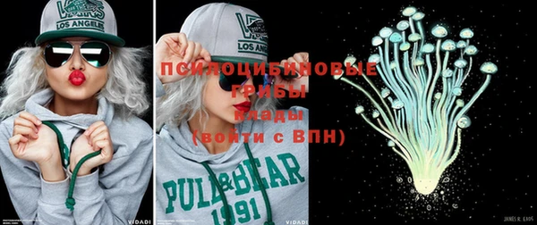 альфа пвп Медвежьегорск