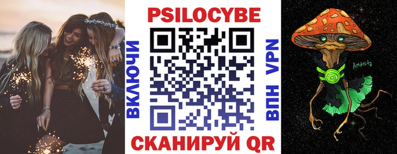 Купить закладки  Приморско-Ахтарск  Галлюциногенные грибы Psilocybe 