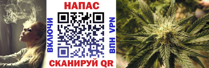 Купить где  Приморско-Ахтарск  Канабис AK-47 